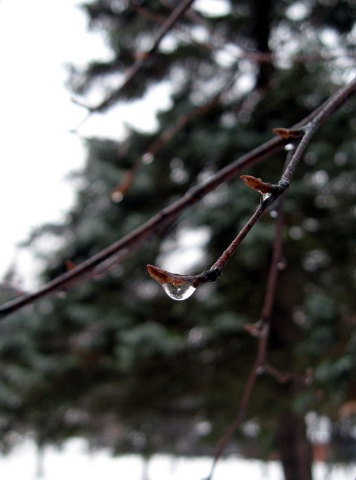 Скоро новый год